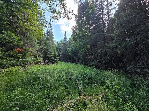 2nd image of Aspen Ln #40ACRES