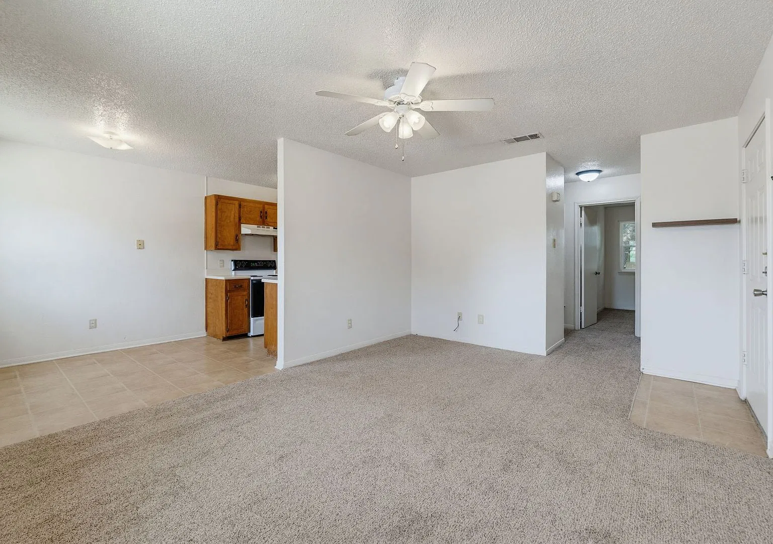203 Sorrell Dr. — Photo 4