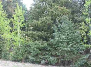 0 Liberty Ln, Cadillac, MI 49601