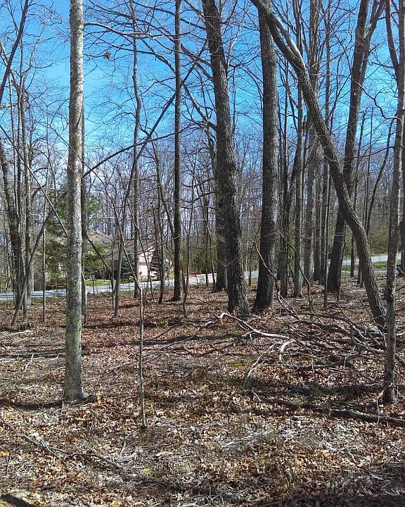 1st image of 119 Markham Ln