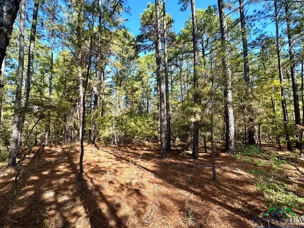 1204 McPhail Rd, Harleton, TX 75651