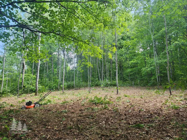 L17-35 38 Wayland & Donnybrook Dr, Frederic, MI 49733