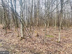 5th image of Bethlehem Rd