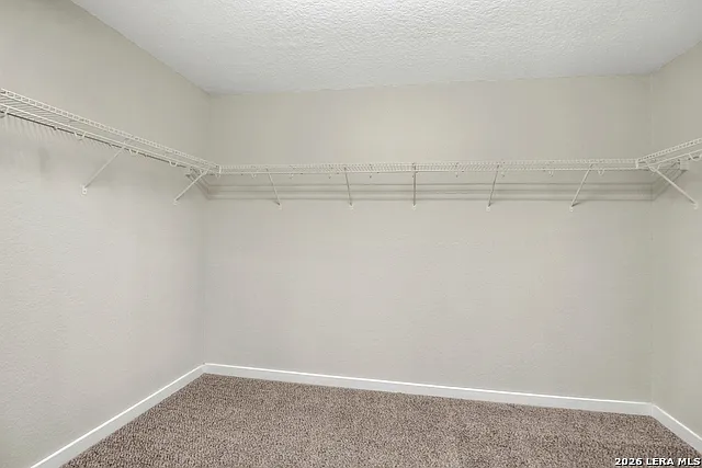 10311 Rosalina Loop — Photo 20