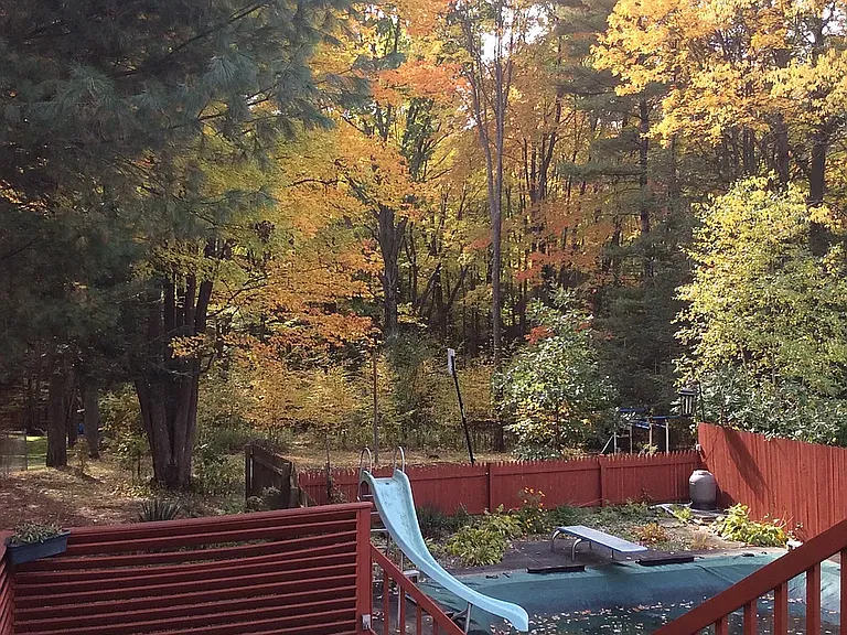 Fall view from the deck
