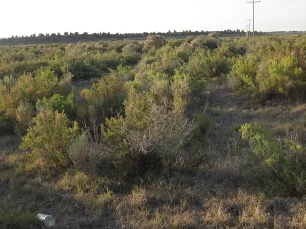 700TL Millican Rd, Christmas Valley, OR 97641