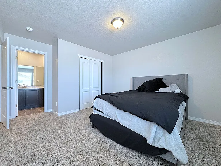 14361 Star Cactus — Photo 10