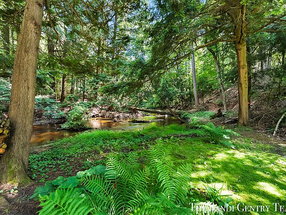3rd image of 1360 E Bigelow Creek Trl