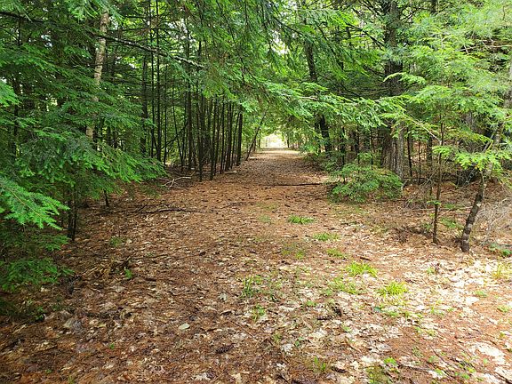 4th image of Lot #36 Beaver Brook Road