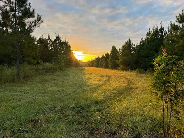 Midway Loop E, Livingston, TX 77351