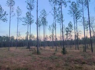 TRACT 1 Lot 3 Pr #6026, Brookeland, TX 75931