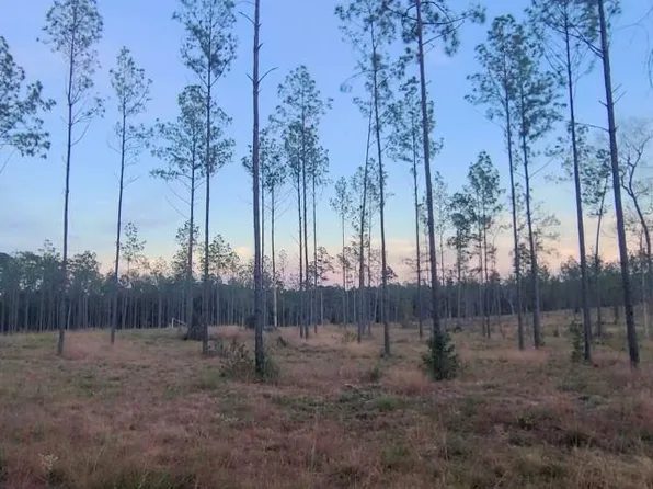 TRACT 1 Lot 3 Pr #6026, Brookeland, TX 75931