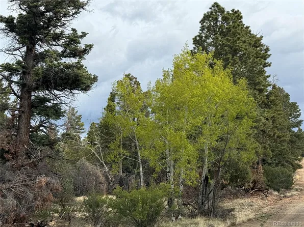 Lot 154 Tahmoush Lane LOT 154, Fort Garland, CO 81133