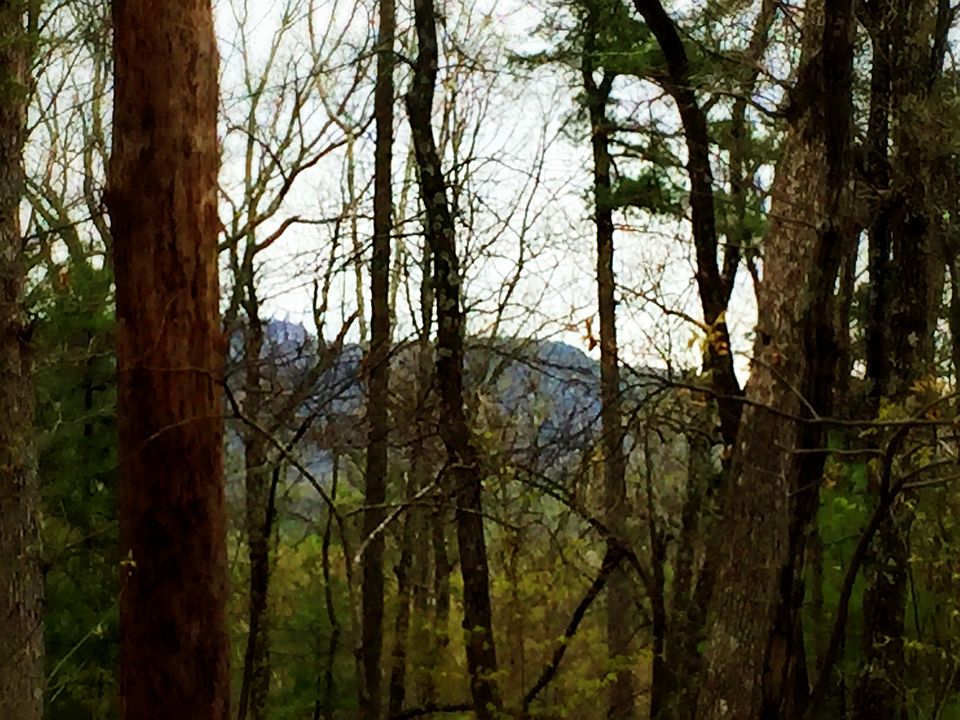 1st image of Tbd Route 209 Lot 2