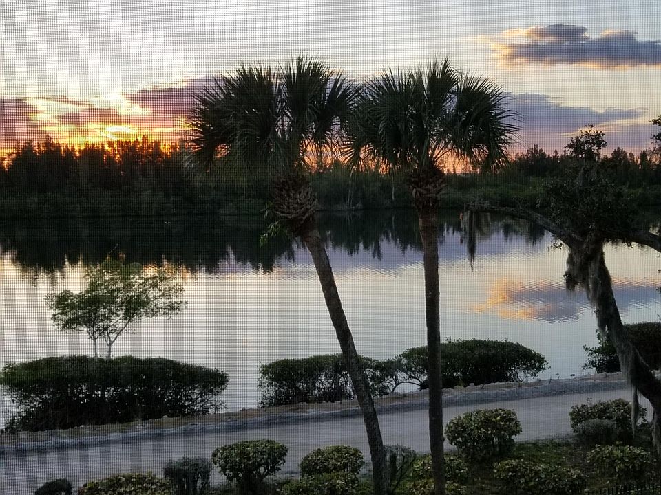 Daily Beautiful sunset from the screened terrace