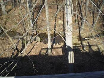 2nd image of 164 Spivey Ridge Cir