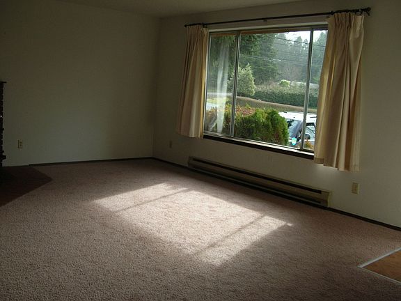 Living room with brand new carpet