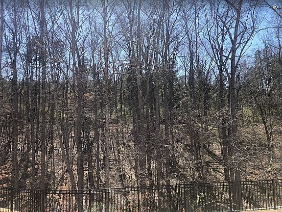 5th image of 143 Batten Ridge Dr