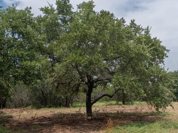 1031 Shiloh Vista Ln, Tolar, TX 76476