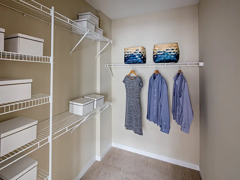Traditional Collection walk-in closet