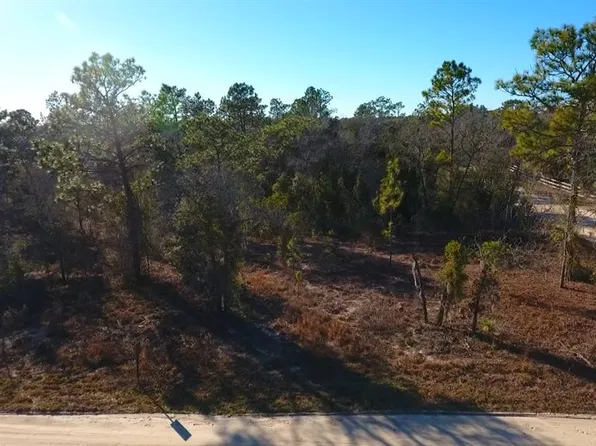 2150 SE 137th Ct Lot 1, Morriston, FL 32668