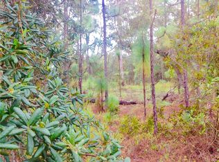 75 Daisy St, Homosassa, FL 34446