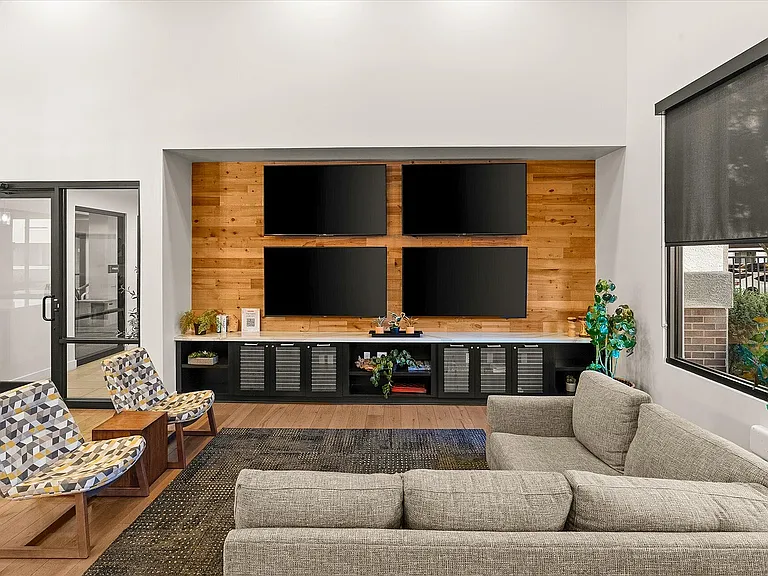 Community TV Area