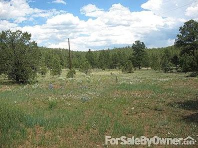 South view of the pasture acreage