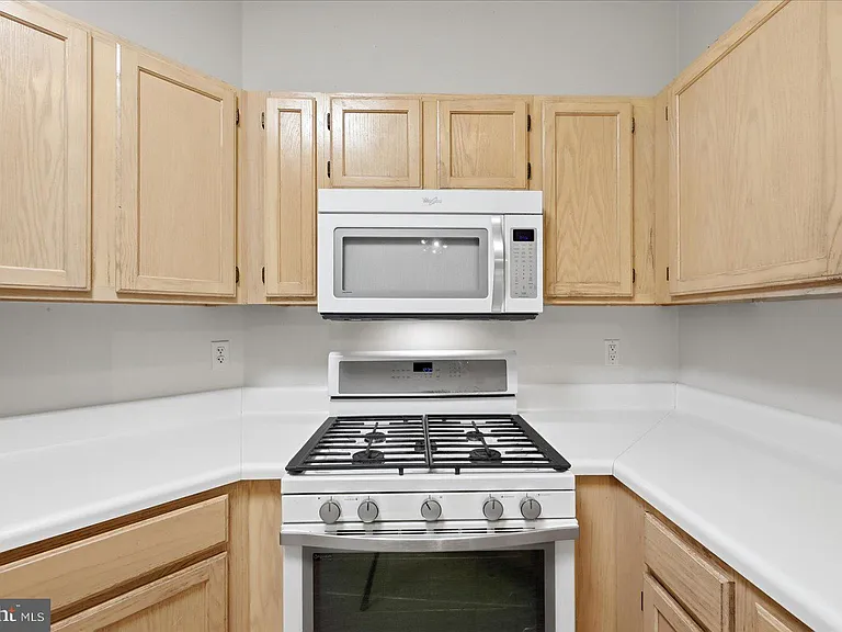 14316 Climbing Rose Way #102 — Photo 8