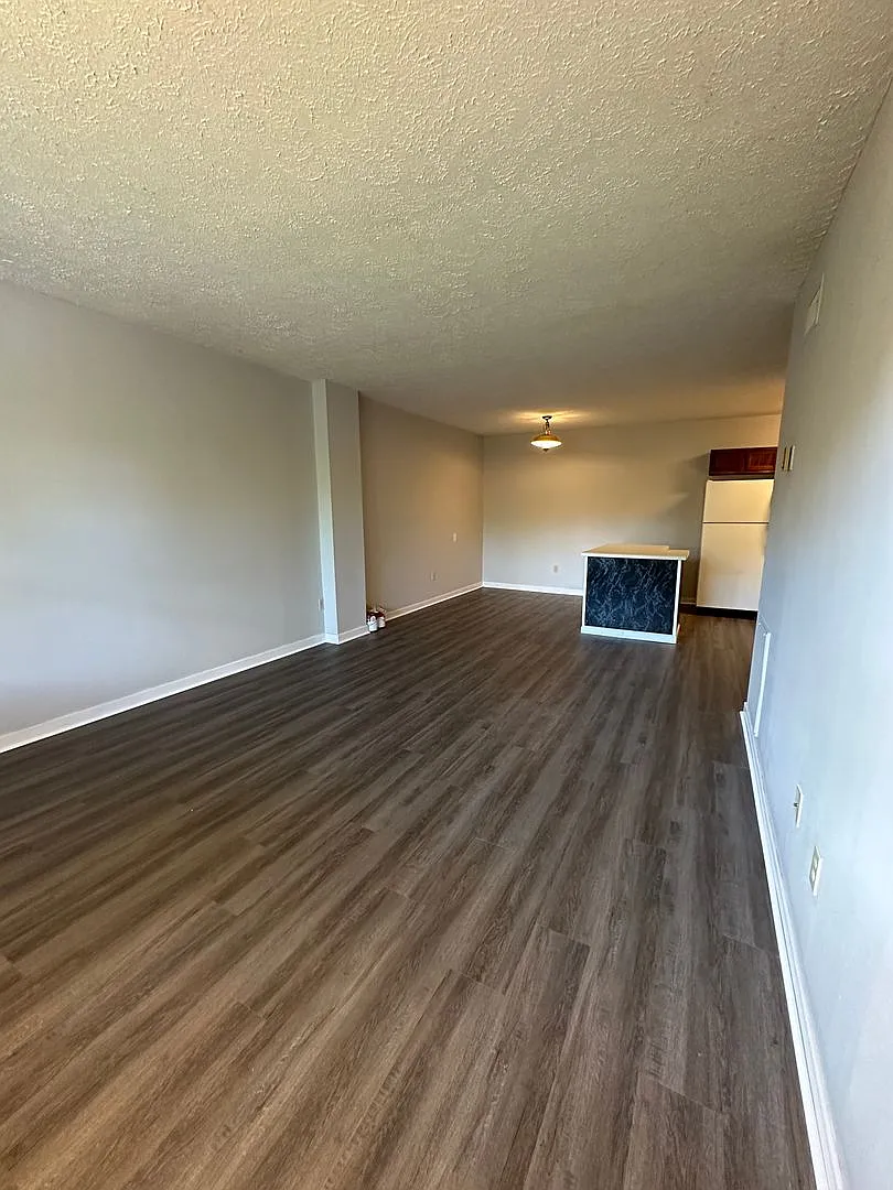 One bedroom ,one bathroom ground level, Kingsport TN — Photo 2