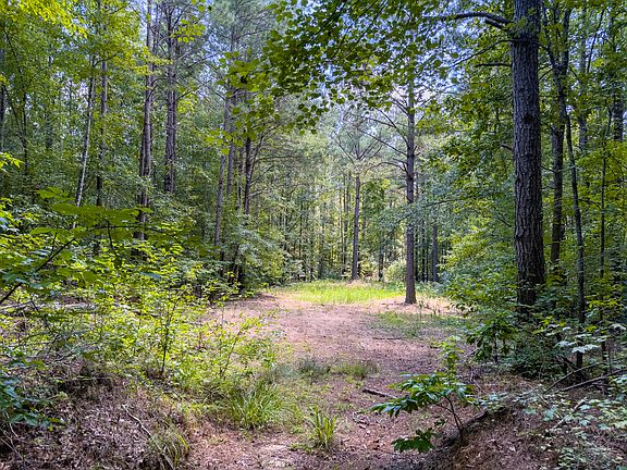 5th image of 0 Bone Camp Rd