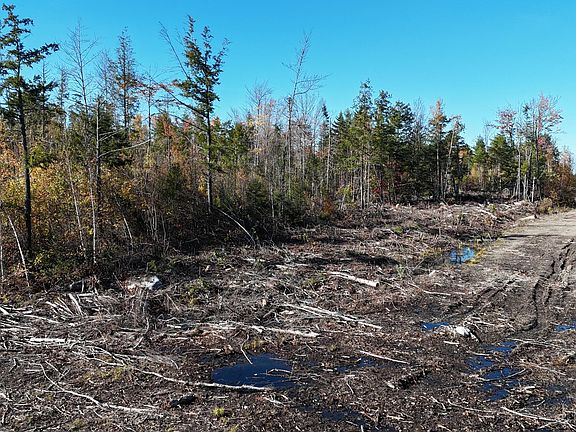 3rd image of Lot 4 Long pine Road
