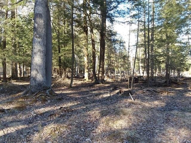 2nd image of 306 Troxell Spring Rd