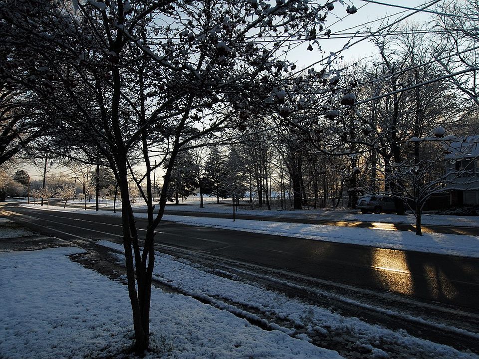 Brook Rd
