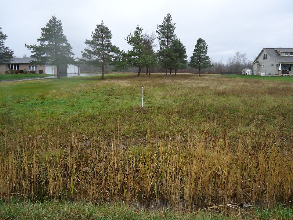 2nd image of Townline Rd.