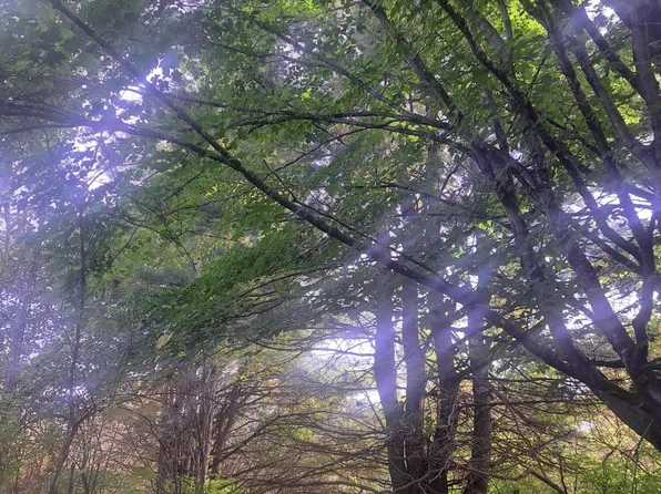 Burns Holden Rd, Fort Covington, NY 12937