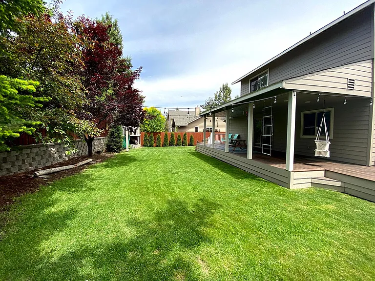 Backyard (looking North)