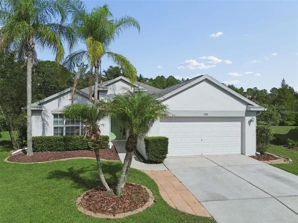 3526 Morgans Bluff Ct, Land O Lakes, FL 34639