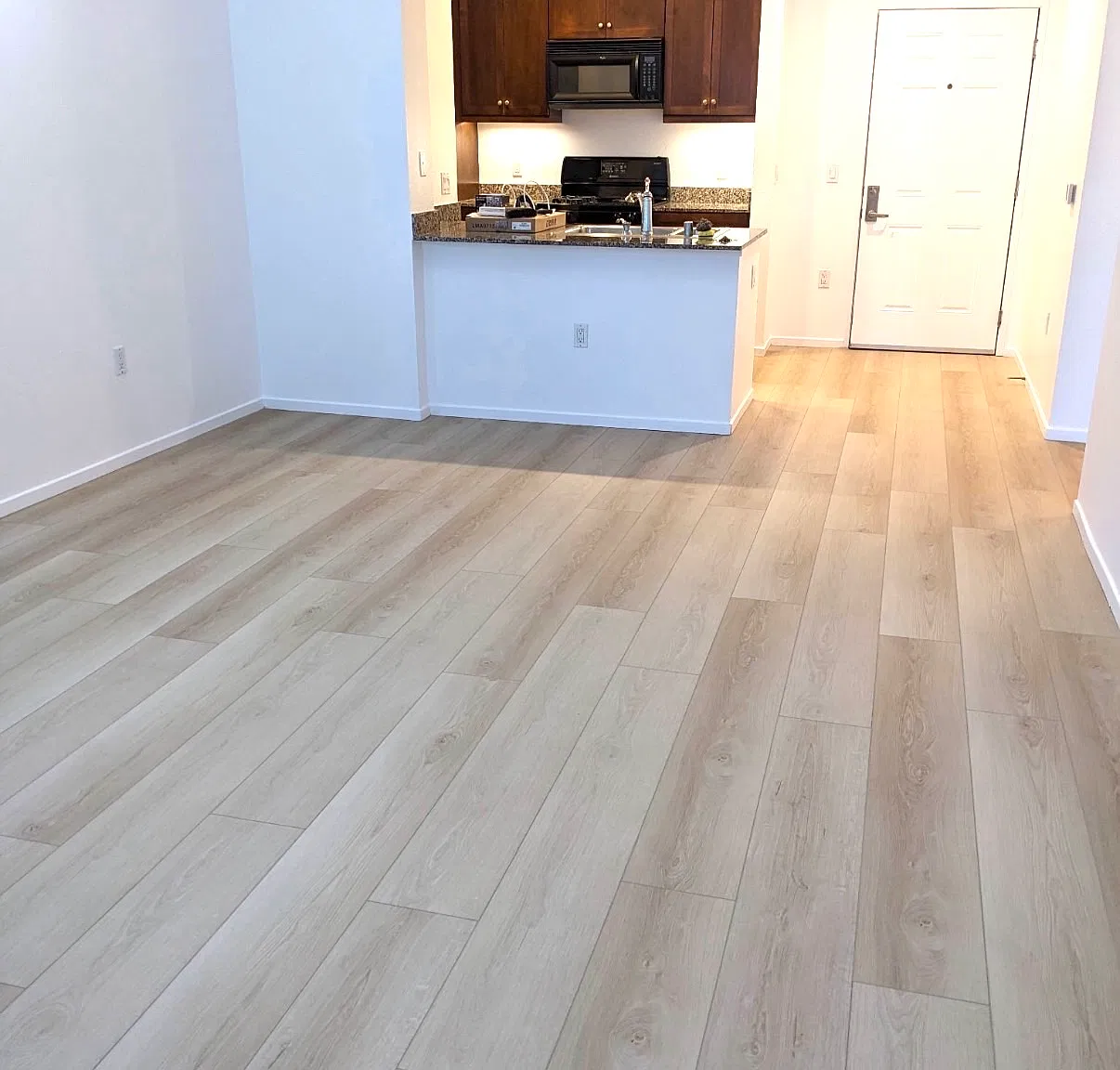 2 bed, 1034 sqft, $3,200 — Photo 2