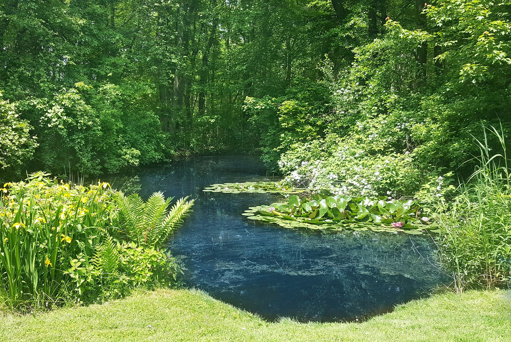  Pond 