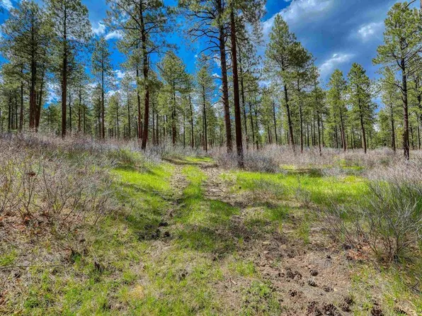 X Hidden Valley Drive, Pagosa Springs, CO 81147
