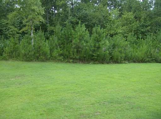 3rd image of 4635 Bridle Point Pkwy