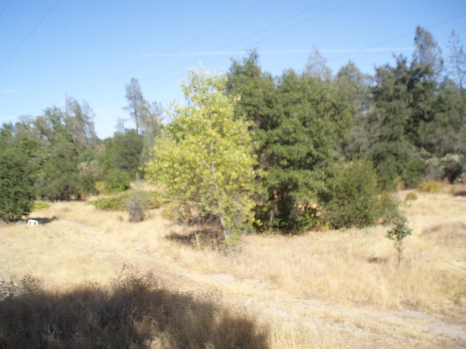 2nd image of Shasta Gateway Dr