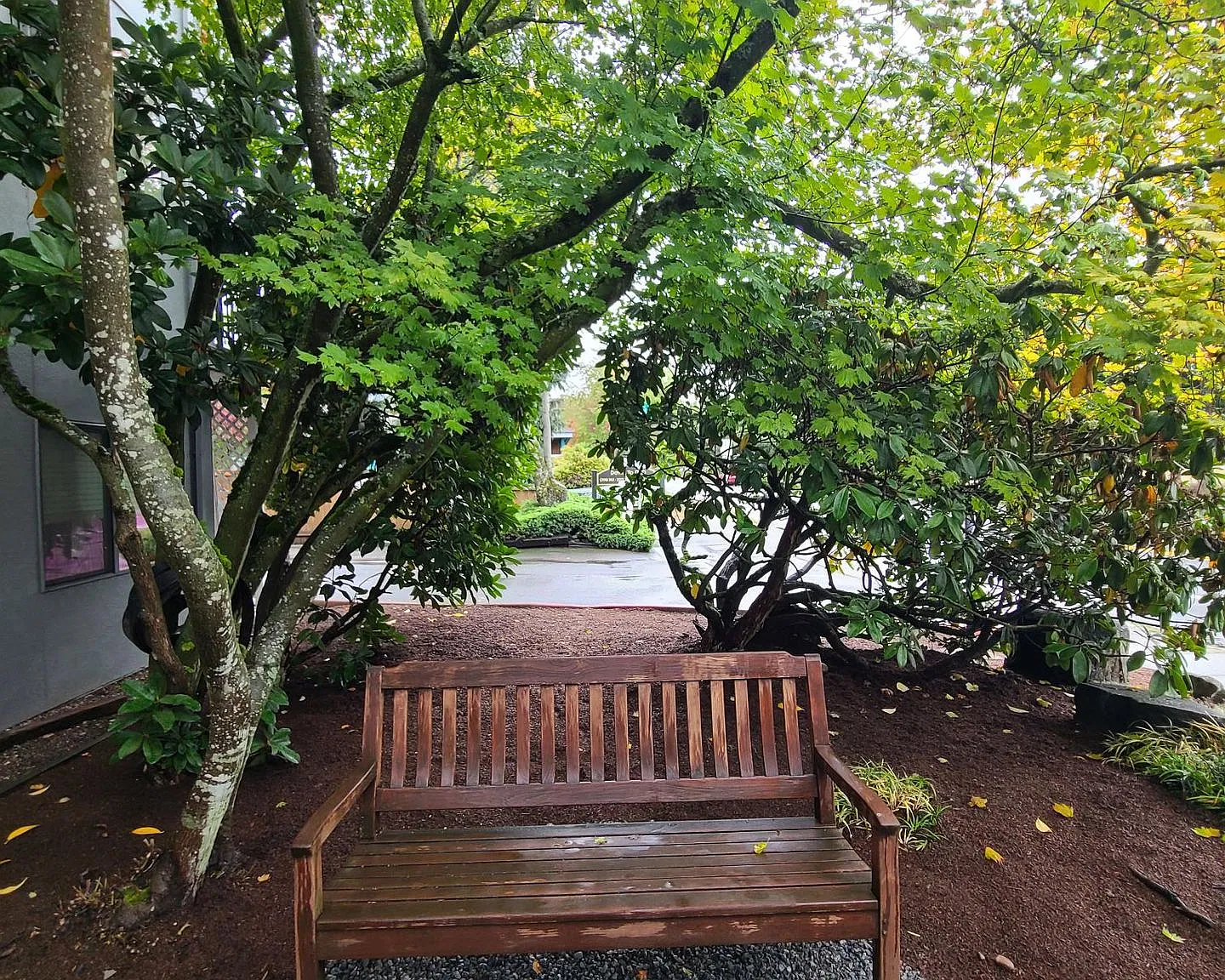 15015 Shoreline Apartments — Photo 3