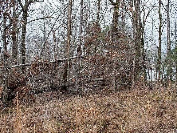 2nd image of 0 Northwood Dr