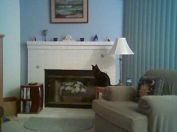 Living Room w/working fireplace