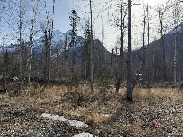 9085 S River Dr, Palmer, AK 99645