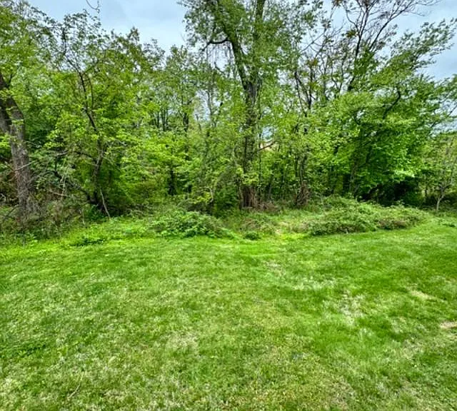 1016 W Baltimore Pike #D-11 — Photo 18