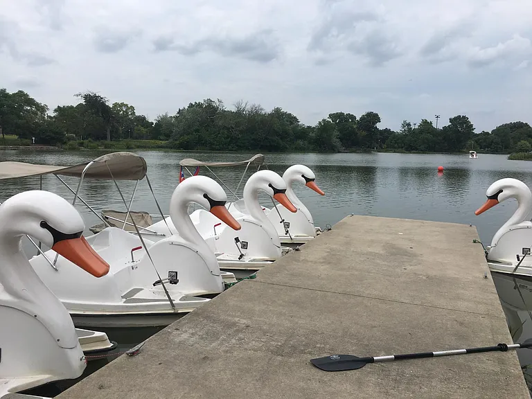 boat rentals