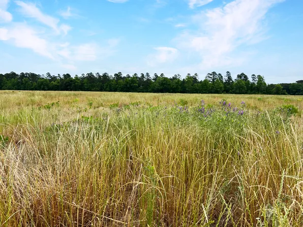 1 Us Highway 15, Saint George, SC 29477